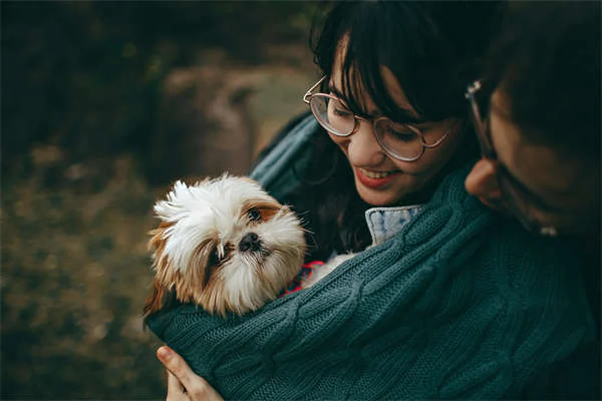 고양이 눈 뜨는 시기와 관리법, 이거 하나면 끝!